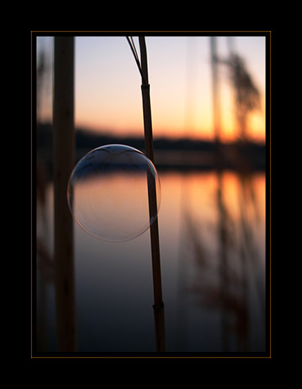 Vie en bulle